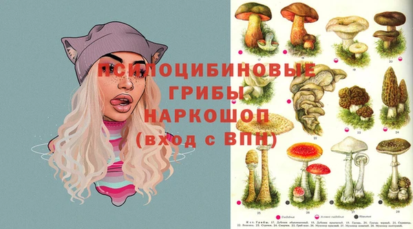 ешки Покачи