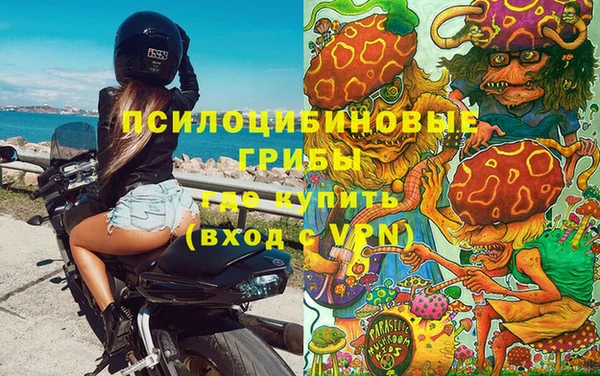 шишки Абдулино