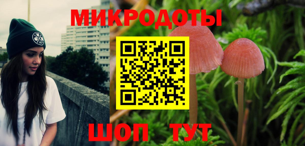 Галлюциногенные грибы мицелий Дальнереченск