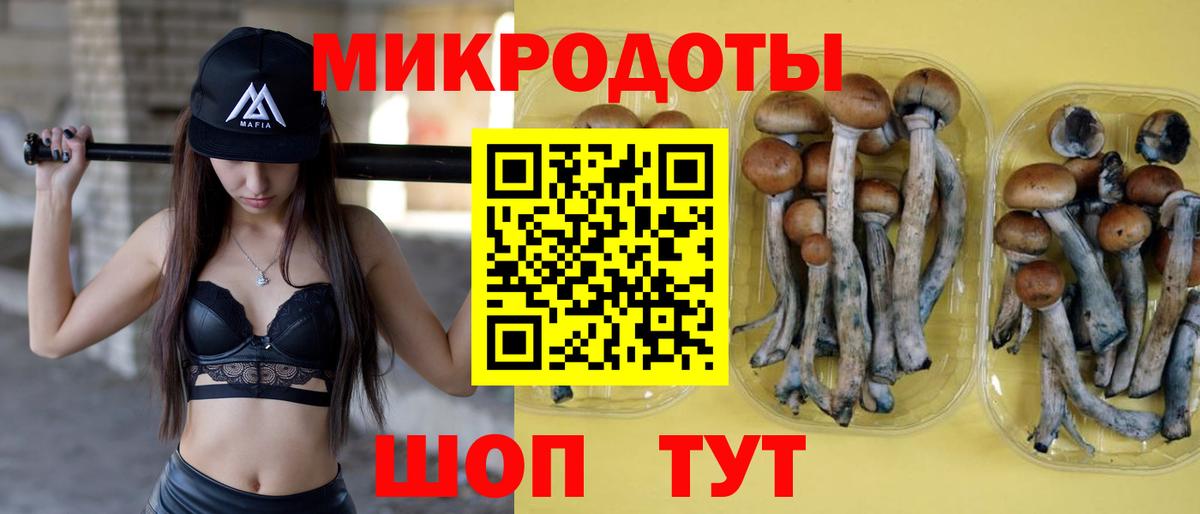 Дальнереченск  Галлюциногенные грибы Cubensis  Вход с VPN 