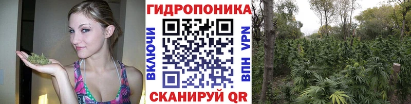 гидра маркетплейс  Дальнереченск  МАРИХУАНА конопля  что такое наркотик 